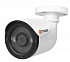 Tigris TGB-AS02 (3.6) 2Mp (улица, AHD/TVI/CVI, 1920х1080, ИК до 25м, DC12V, IP66)
